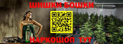 прущие грибы Ачхой-Мартан