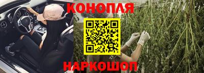 прущие грибы Ачхой-Мартан
